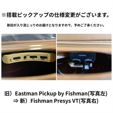 EASTMAN PCH1-GACE-CLA イーストマン 画像10