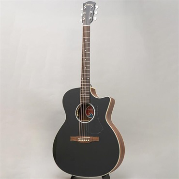 EASTMAN PCH2-GACE BLK イーストマン 画像2