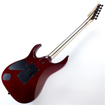 Ibanez j.custom Axe Design Lab RG8870-AGT SN.F2600631 画像2