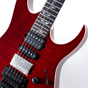 Ibanez j.custom Axe Design Lab RG8870-AGT SN.F2600631 画像3