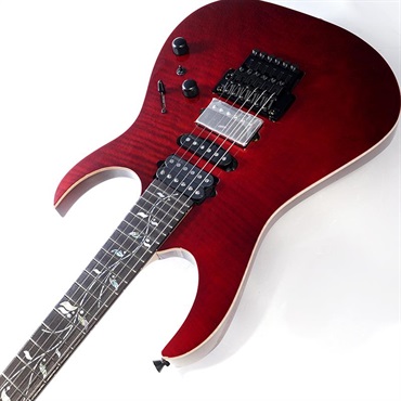 Ibanez j.custom Axe Design Lab RG8870-AGT SN.F2600631 画像5