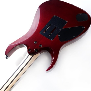 Ibanez j.custom Axe Design Lab RG8870-AGT SN.F2600631 画像6