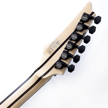 Ibanez j.custom Axe Design Lab RG8870-AGT SN.F2600631 画像9