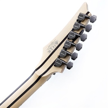 Ibanez j.custom RG8570-BRE SN.F2601754 画像9