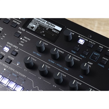 KORG 【夏のボーナスセール】wavestate module WAVE SEQUENCING SYNTHESIZER (WAVESTATE-M) 画像10