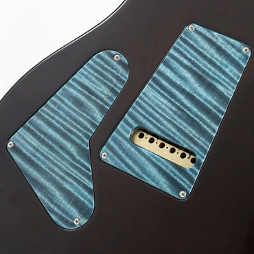 P.R.S. Private Stock #10967 Custom 24 Brazilian Rosewood Fingerboard (Sub-Zero) [SN.371170] 【2023年生産品】 画像5