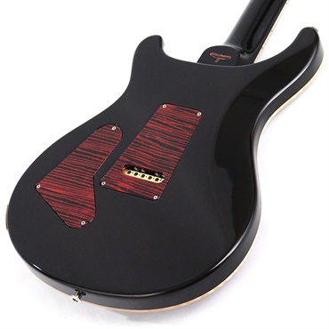 P.R.S. Private Stock #10968 Custom 24 Brazilian Rosewood Fingerboard (Fire Red) [SN.371925] 【2023年生産品】 画像9