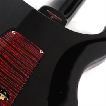 P.R.S. Private Stock #10968 Custom 24 Brazilian Rosewood Fingerboard (Fire Red) [SN.371925] 【2023年生産品】 画像10