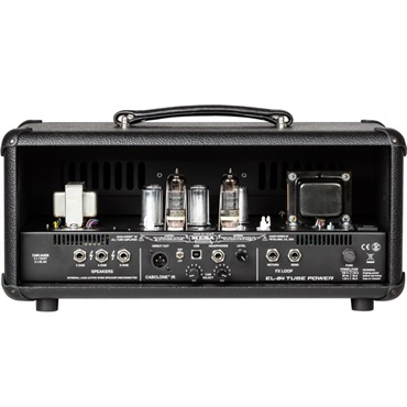 Mesa Boogie Badlander 25 Head（バッドランダー メサ ブギー） 画像1