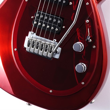 TOKAI TALBO 40th ANV Platinum Red Wilkinson Upgrade Limited 画像4