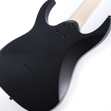 Ibanez RG7421EX-BKF (Black Flat) [SPOT MODEL] 画像7