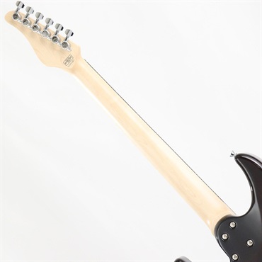 SCHECTER SD-2-24-AL-VTR (Aqua Blue/Rosewood) 画像6
