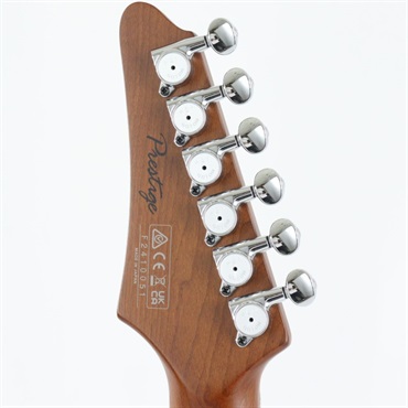 Ibanez Prestige AZ2204NW-GRM (Gray Metallic) [SPOT MODEL] 画像8