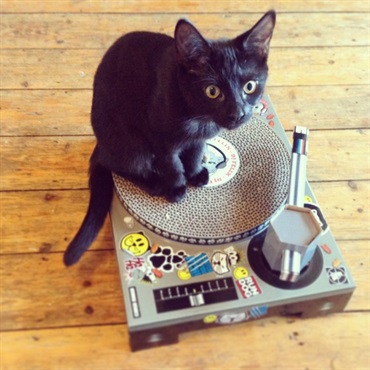 SUCK UK Cat DJ Scratching Deck 画像2
