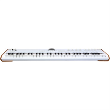 Arturia AstroLab (Avant-garde Stage Keyboard) アートリア アストロラボ 画像3