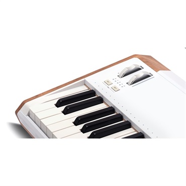 Arturia AstroLab (Avant-garde Stage Keyboard) アートリア アストロラボ 画像5