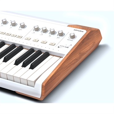 Arturia AstroLab (Avant-garde Stage Keyboard) アートリア アストロラボ 画像6