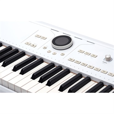 Arturia AstroLab (Avant-garde Stage Keyboard) アートリア アストロラボ 画像7