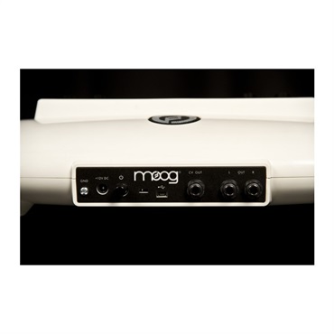 moog モーグ Theremini テルミニ ムーグ (テルミン) (予約商品・納期未定) 画像6