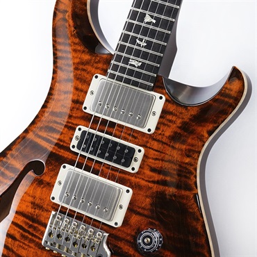 P.R.S. Special Semi-Hollow (Orange Tiger) SN.0377380 画像3