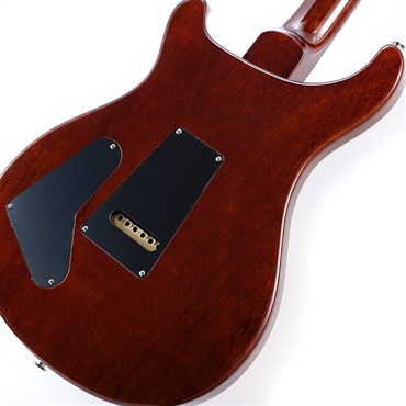 P.R.S. Special Semi-Hollow (Orange Tiger) SN.0377380 画像7