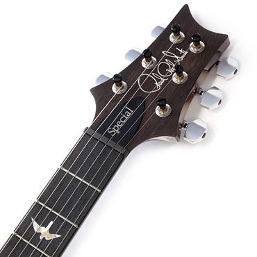 P.R.S. Special Semi-Hollow (Orange Tiger) SN.0377380 画像8