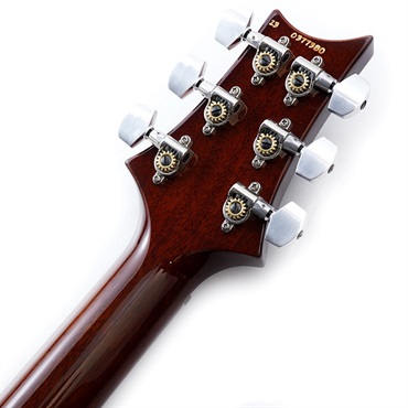 P.R.S. Special Semi-Hollow (Orange Tiger) SN.0377380 画像9
