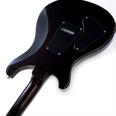 P.R.S. 2024 S2 Custom 24-08 (Black Amber) SN.S2072371 画像6