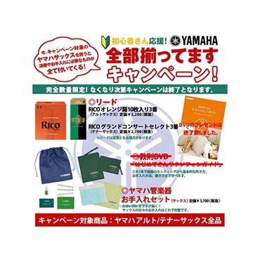 YAMAHA 【受注生産品】アルトサックス ヤマハ YAS-875EXG 【調整&セットアップ後出荷】【5年間キーバランス調整無料】【演奏＆お手入れに必要なもの全て付いてます】 画像9
