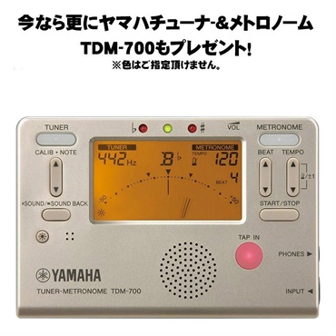 YAMAHA 【受注生産品】アルトサックス ヤマハ YAS-875EXG 【調整&セットアップ後出荷】【5年間キーバランス調整無料】【演奏＆お手入れに必要なもの全て付いてます】 画像10