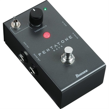Ibanez PTGATE 画像2