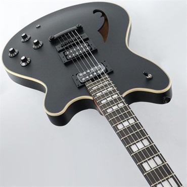EVH SA-126 Special (Stealth Black) 画像4