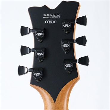 EVH SA-126 Special (Stealth Black) 画像9