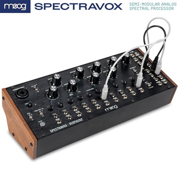 moog モーグ Spectravox (SEMI-MODULAR ANALOG SPECTRAL PROCESSOR) 画像3