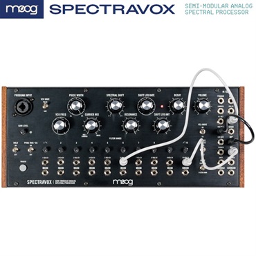 moog モーグ Spectravox (SEMI-MODULAR ANALOG SPECTRAL PROCESSOR) 画像5