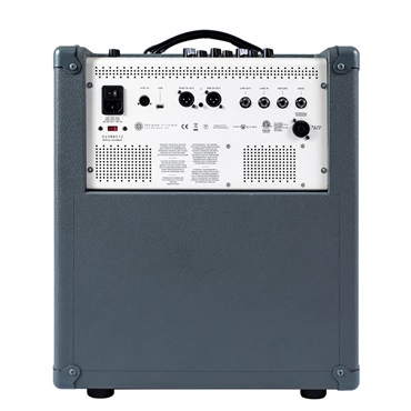 Darkglass Electronics Infinity 500 Combo 112 [DG112D] 画像2