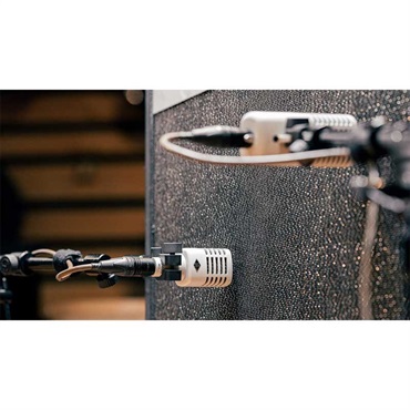 Universal Audio 【特価プロモ(5/31まで)】SD-3(ダイナミックマイク) 画像3