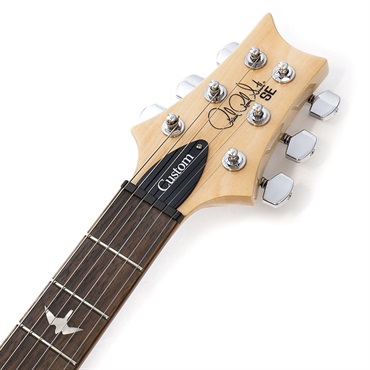 P.R.S. SE Custom 24 (Trampas Green) 画像8
