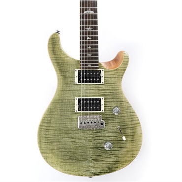 P.R.S. SE Custom 24 (Trampas Green) 画像9