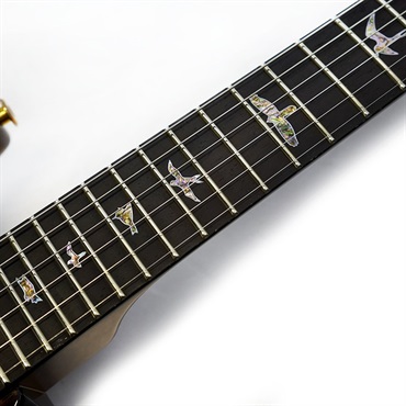 P.R.S. Private Stock Brazilian #11043 SANTANA II Burnt Gold Smokeburst 画像7