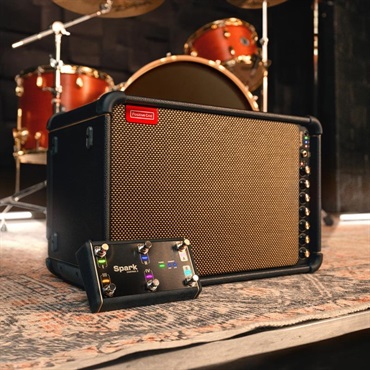 Positive Grid Spark LIVE 【Spark Battery + Spark Control X セット】（ポジティブ ポジティヴ グリッド 画像5
