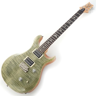 P.R.S. SE Custom 24 (Trampas Green) 画像1