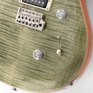 P.R.S. SE Custom 24 (Trampas Green) 画像4