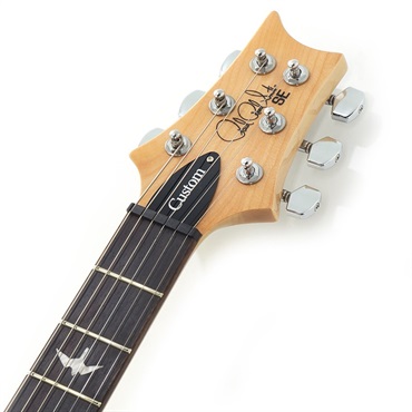 P.R.S. SE Custom 24 (Trampas Green) 画像8