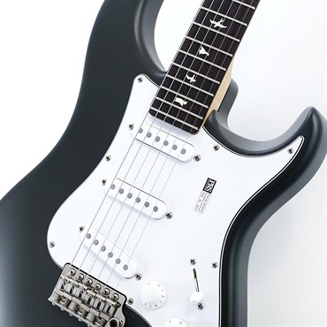 P.R.S. Silver Sky Rosewood (Faded Black Tee Satin) SN.0413309 【2025年生産品】 画像3