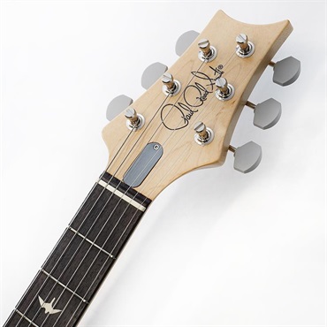 P.R.S. Silver Sky Rosewood (Faded Black Tee Satin) SN.0413309 【2025年生産品】 画像8