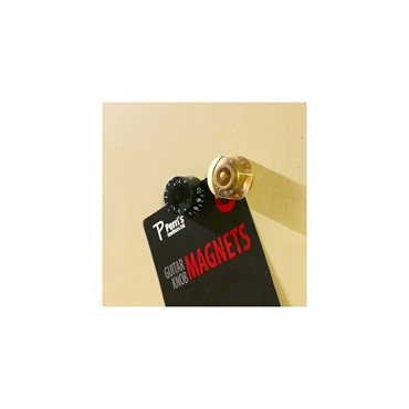 PERRI'S GNM-04 GUITAR KNOB MAGNETS LP GOLD 画像2