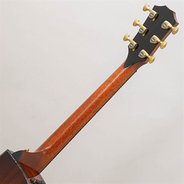 TAYLOR Presentation Series PS14ce Adirondack Top テイラー 画像10