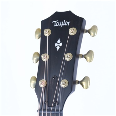 TAYLOR 【数量限定】50th Anniversary Builder's Edition 314ce LTD [1974本限定] [50周年記念モデル] テイラー 画像4