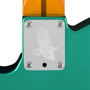 Fender USA Susan Tedeschi Telecaster (Aged Caribbean Mist/Rosewood) 【The Spring Summer 2026 Campaign】 画像4